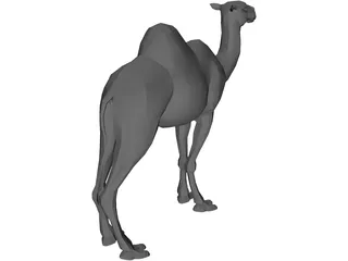 Camel 3D Model