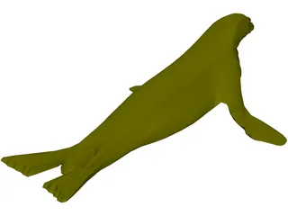 Seal 3D Model