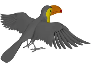 Toucan 3D Model