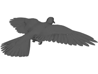 Dove 3D Model