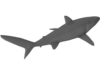 Blue Shark 3D Model