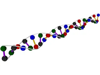 DNA Strand 3D Model