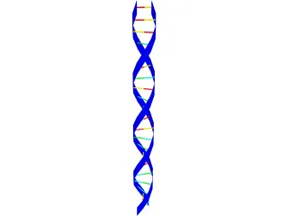 DNA Strand 3D Model