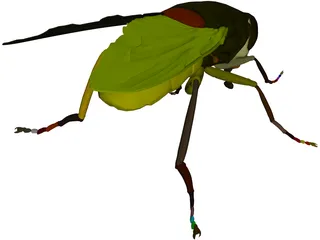 Fly 3D Model