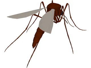 Mosquito 3D Model