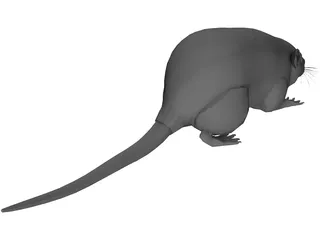 Rat 3D Model