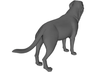 Dog 3D Model