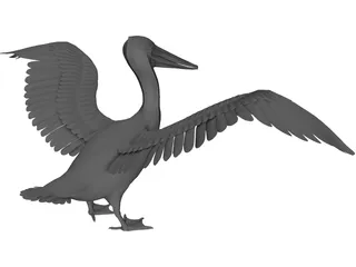 Pelican 3D Model