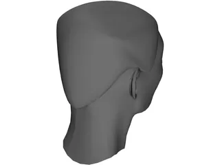 Head 3D Model