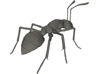 Ant 3D Model