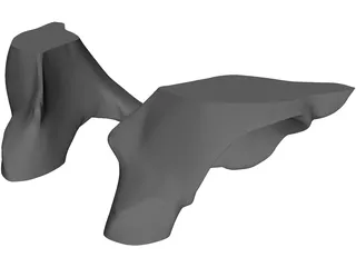 Pelvis 3D Model