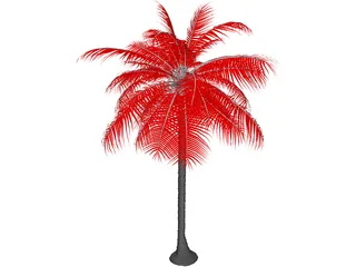 Palm Tree 3D Model