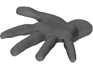 Open Hand 3D Model