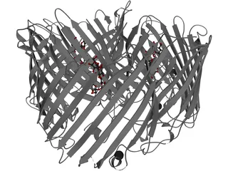 Protein 3D Model