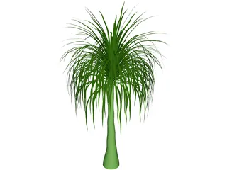 Palmera 3D Model