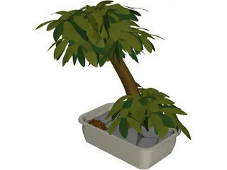 Small Tree 3D Model