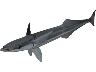 Remora 3D Model