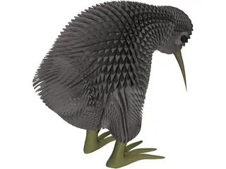 Kiwi Bird 3D Model