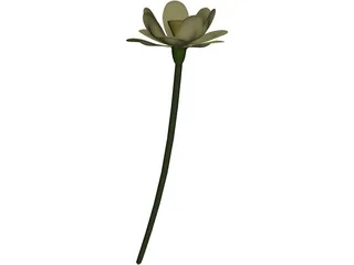 Lotus Flower (Nelumbo Lutea) 3D Model