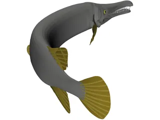 Alligator Gar (Atractosteus Spatula) 3D Model