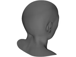 Samuel Head 3D Model