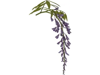 Wisteria Flower Japanese 3D Model