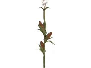 Corn Stalk 3D Model