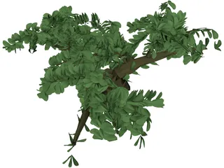 Tree 3D Model