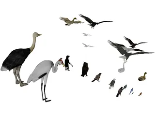 Birds Collection 3D Model