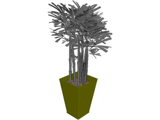 K-VG Rhapis B 3D Model