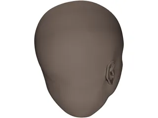 Human Head 3D Model