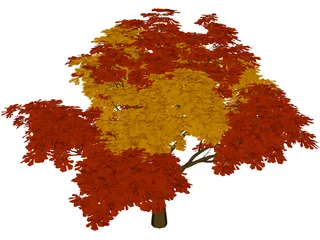 Chestnut Tree 3D Model