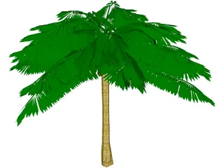 Palm Tree 3D Model