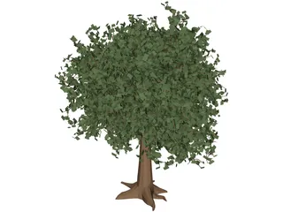 Oak Tree 3D Model