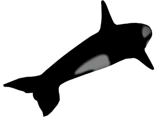 Orca 3D Model