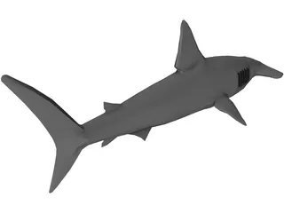 Shark 3D Model