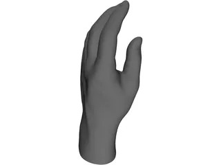 Hand 3D Model