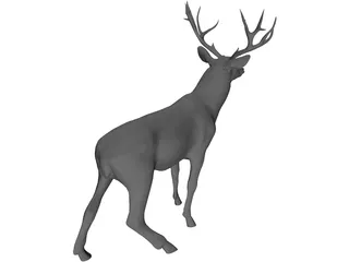 Stag 3D Model