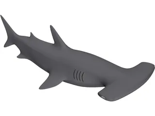 Shark 3D Model