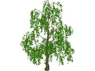 Tree 3D Model