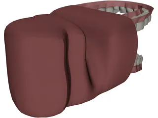 Mouth 3D Model