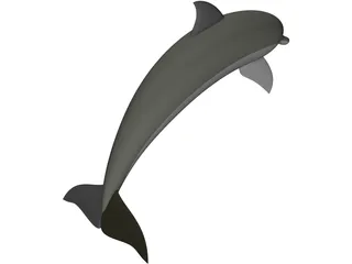 Dolphin 3D Model