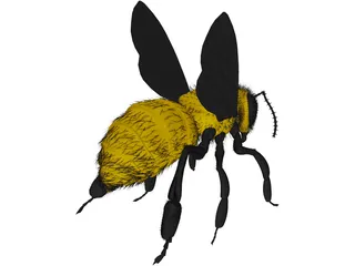 Bee with Fur 3D Model