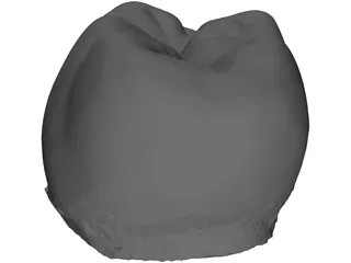 Molar Tooth 3D Model