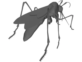 Mosquito 3D Model