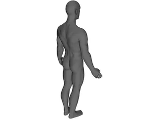 Man 3D Model