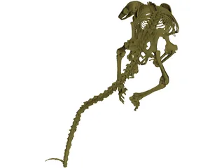 Skeleton Prehistoric 3D Model