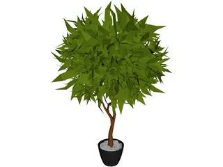 Ash Tree 3D Model