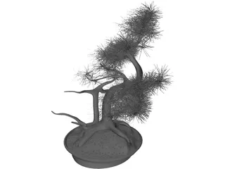 Bonsai Tree 3D Model