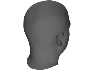 Human Male Scanned Head 3D Model